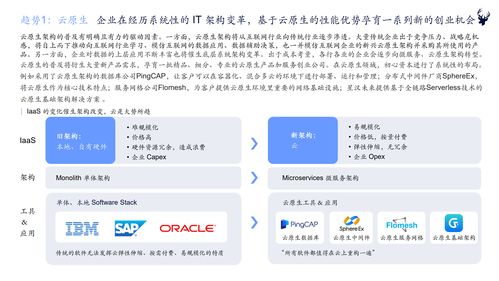 初心資本2021中國企業(yè)服務(wù)新趨勢(shì)報(bào)告 軟件開發(fā)行業(yè)洞察與展望